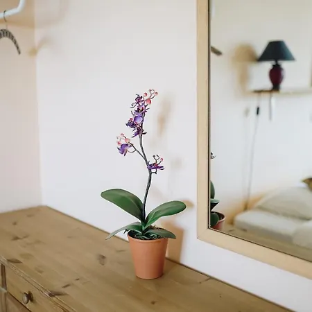 Rustic Flat - Ocean View Lejlighed *