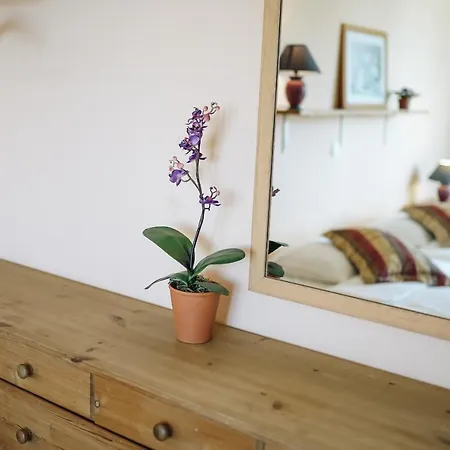 Lejlighed Rustic Flat - Ocean View